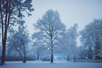 Winter snow fall in Helsinki