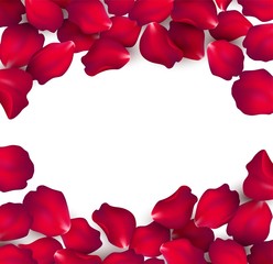 Falling red rose petals isolated on white background. Vector illustration