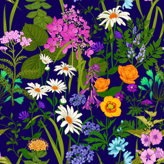 Seamless background with wild flowers. Full color pattern.
