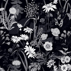 Fototapety  Bezszwowe tło z dzikimi kwiatami. Czarno-biały wzór.