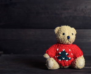 a very old brown teddy bear in a red sweater sits
