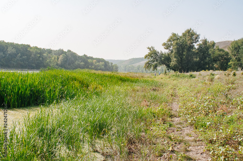 Wall mural sunny day on a calm river in summer. landscape with river and blue sky