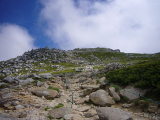 山