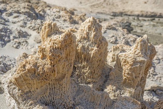 Coral fossils, Marsa Alam, Egypt, Africa