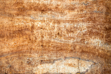 texture of old wood