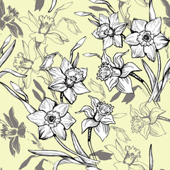 Botanical seamless pattern with hand drawn flowers daffodils, narcissus on light yellow