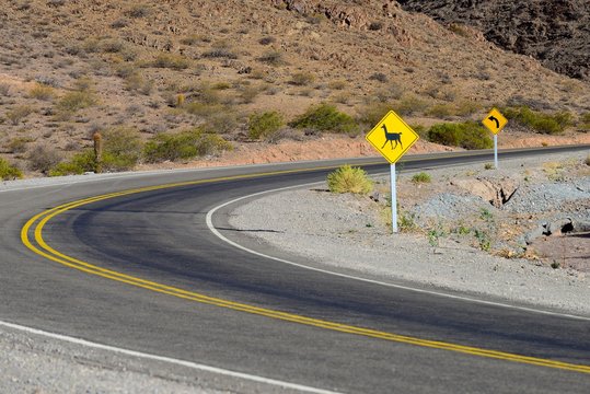 Warning sign Llama at the RP 33, Los Cardones National Park, near Cachi, Salta, Argentina, South America