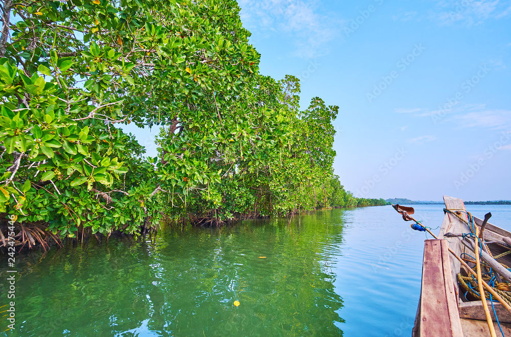 Canvas Prints Unique ecosystem on Kangy river, Chaung Tha, Myanmar