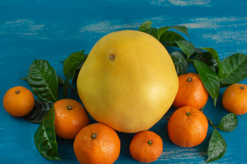 Ripe tangerines with green leaves on a bright blue background Top view flat lay copy space