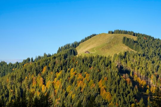 Zwiesel near Wackersberg with Schnaiteralm in autumn, Isarwinkel, Upper Bavaria, Bavaria, Germany, Europe