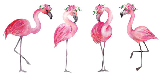 Watercolor illustration with pink flamingo and flowers © марина васильева