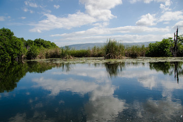 Fototapeta na wymiar Black River, Giamaica