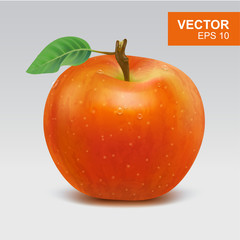 Realistic red apples vector illustration, icon. 3d whole apple