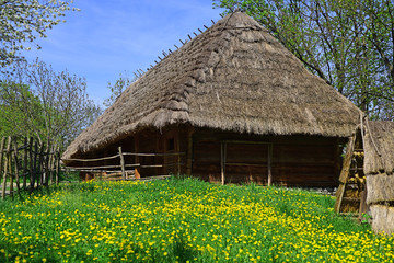 Fototapeta na wymiar Peasants hut. Country house on spring landscape. Old village cottage. Building made of wood with thatched roof. Traditional log hut. Countryside in spring. Wooden architecture. Rural architecture