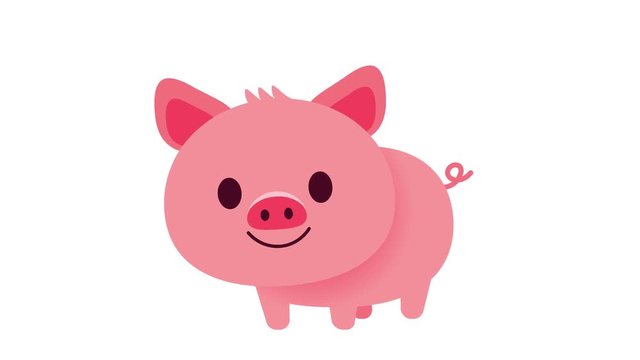 Pig cartoon character looping animation