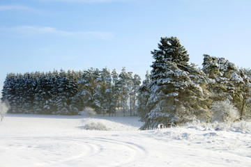 Winterlandschaften