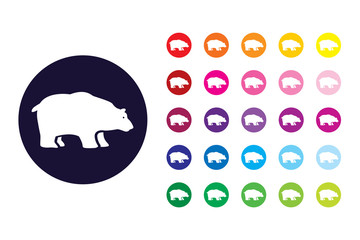 Polar bear sign icon. Polar bear color symbol.