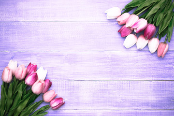 Beautiful pink tulip flowers on violet wooden background with copy space. Easter and spring greeting card. Minimal style. Top view.
