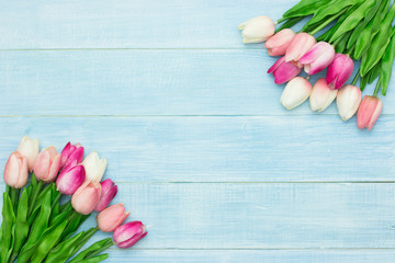 Beautiful pink tulip flowers on blue summer wooden background with copy space. Easter and spring greeting card. Minimal style.