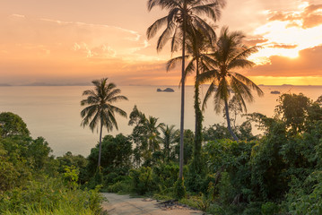 Brilliant ocean beach Colorful sunrise with palm trees coconut palm tree silhouette at Koh Samui, Thailand
