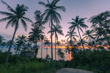 Brilliant ocean beach Colorful sunrise with palm trees coconut palm tree silhouette at Koh Samui, Thailand