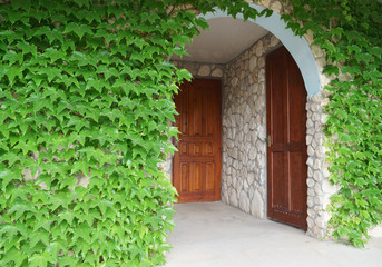 Wooden door with green leaves. Green leaf wall