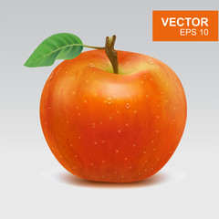 Realistic red apples vector illustration, icon. 3d whole apple with leaf