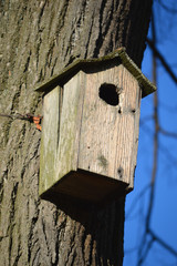 Bird Box