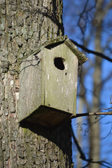 Bird Box
