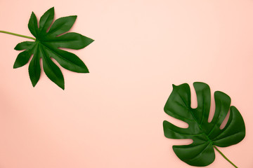 Fototapeta na wymiar Flat lay of green tropical leaves on old rose background with copy space. Vacation holiday travel in summer season concept. Minimal style.