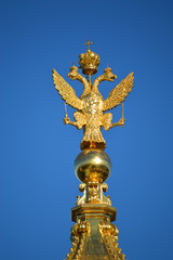Fototapeta na wymiar Symbolic Golden Eagle