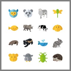 16 animal icon. Vector illustration animal set. hippopotamus and dragonfly icons for animal works