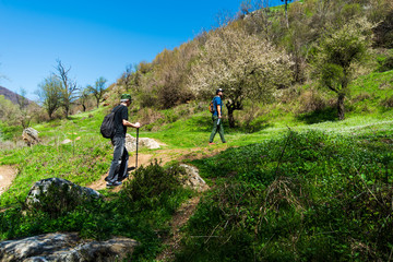 Men hiking on a sunny day, outdoors healthy lifestyle