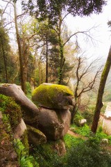 ROCAS CUBIERTAS DE MUSGO VERDE Y CIELO CLARO CON NIEBLA