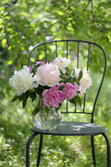 still life in a sunny garden with white and pink peonies in a glass jug on a chair