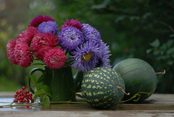 still life in a damp garden with a bouquet of china asters in a green teapot and two watermelons