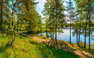 Sunny summer morning outside the city on the shore of a sandy quarry.