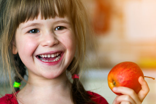 A cute little curly toothless girl smiles and holds a red apple. Portrait of a happy baby eating a red apple. The child loses milk teeth. Healthy food nutrition.