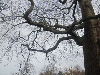In London