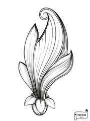 Curls and scrolls ornament for design elements.