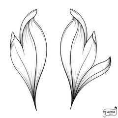 Curls and scrolls ornament for design elements.