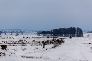 The snow covered the fields and meadows. Village and dairy farms in the background. The beginning of winter in Europe.