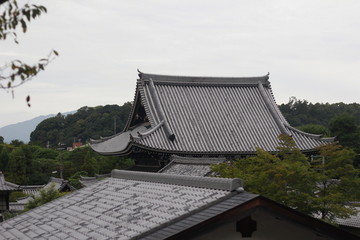 temple roof in forest