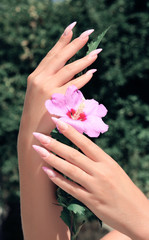 Fototapeta premium Long French nails with white manicure on a woman's hand.