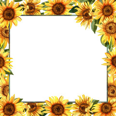 Frame with wonderful sunflowers. Hand drawn watercolor - 242494204