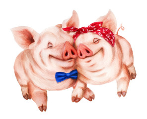 Two enamored dressing piglets. Hand drawn watercolor - 242494219