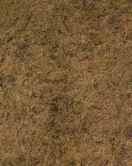 Withering Grass Field Texture in Japan 