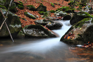 flowing water in the stream