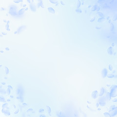 Fototapeta na wymiar Light blue flower petals falling down. Enchanting 