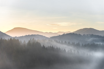 landscape covered in mist - 242495649